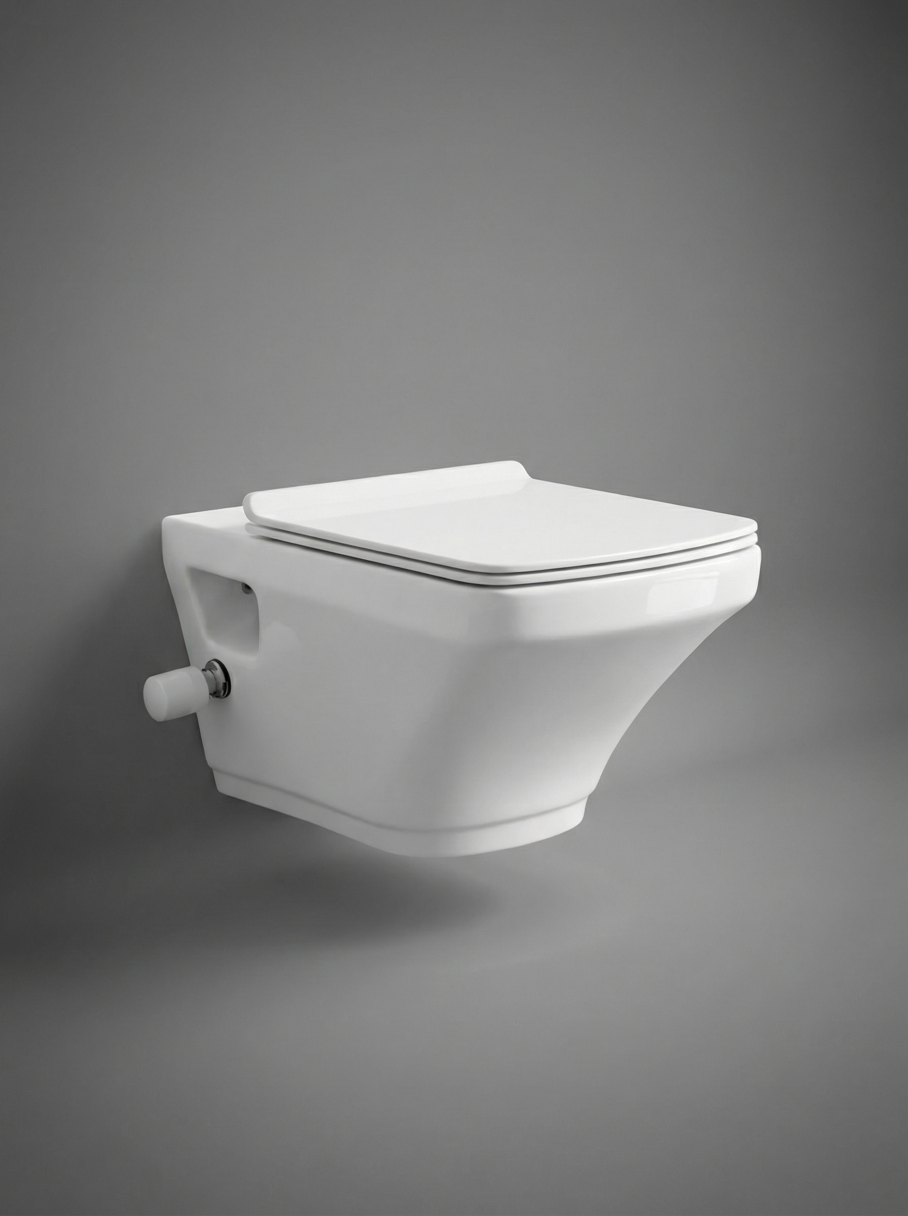 Wall Mounted Toilets