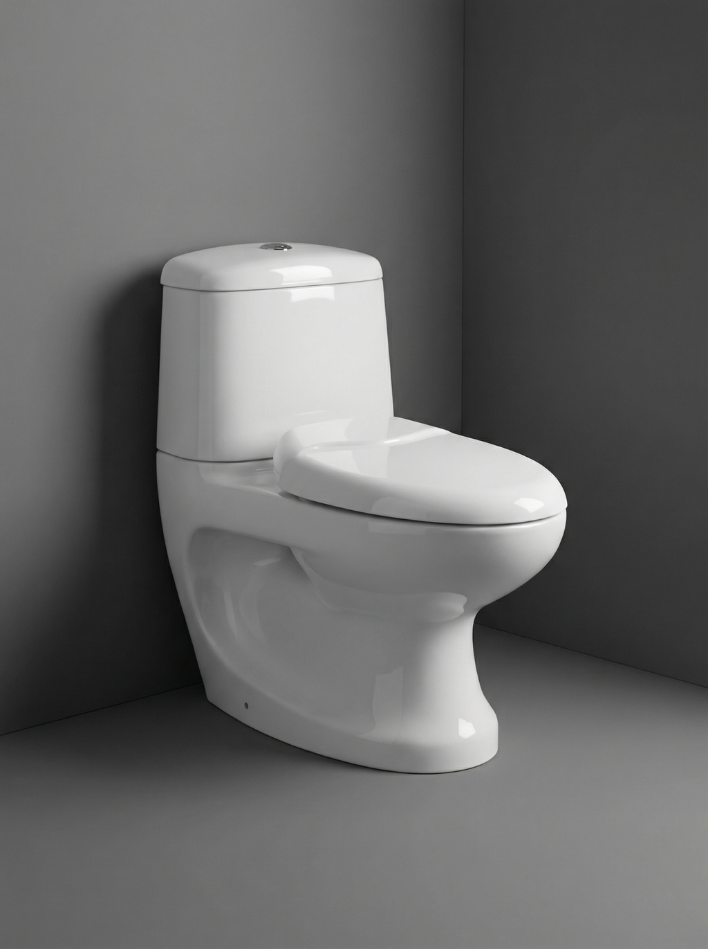 Ferrari Toilet