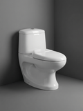 Ferrari Toilet