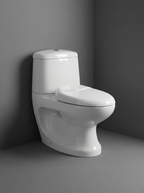 Ferrari Toilet