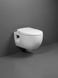 Soft Toilet Wall Hang
