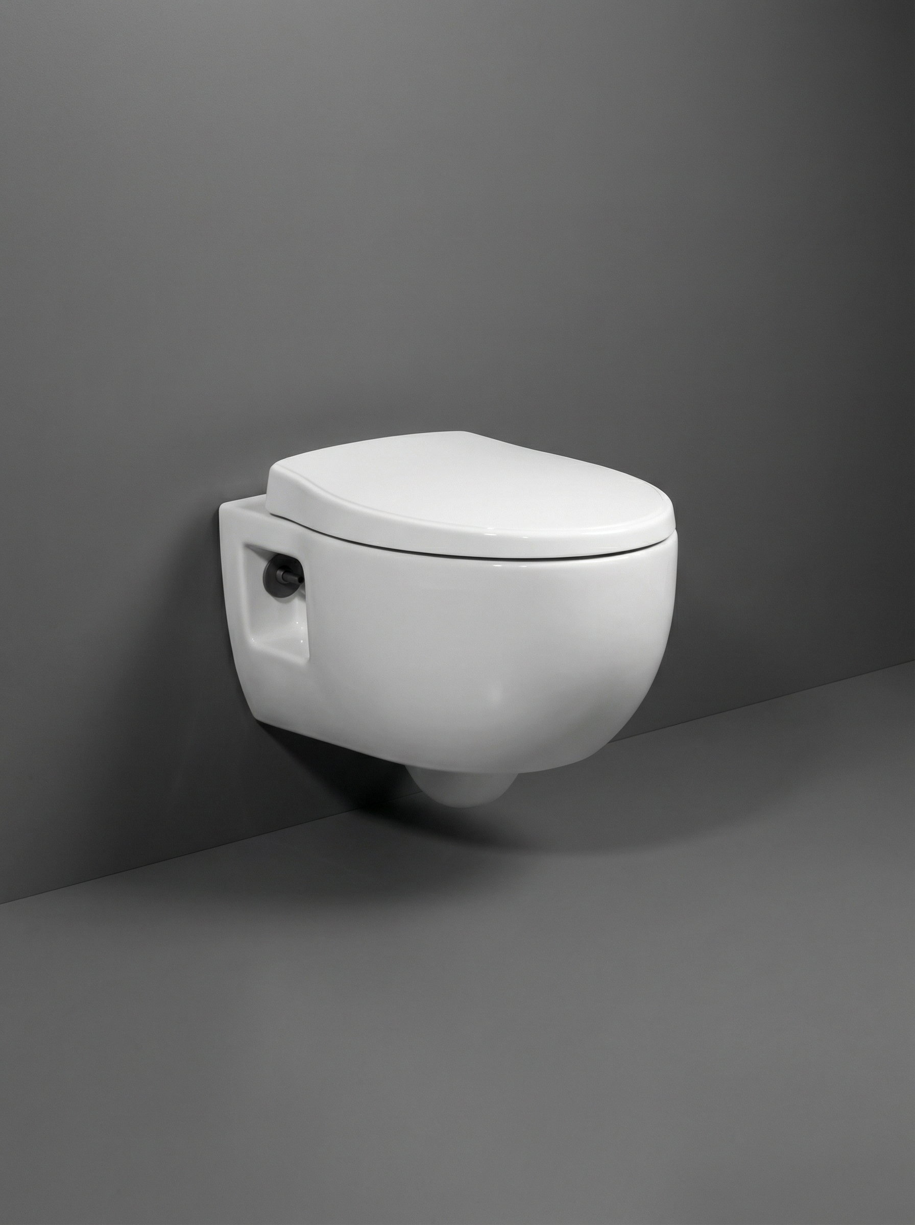 Soft Toilet Wall Hang