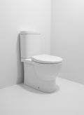 Soft Toilet P with Sprayer